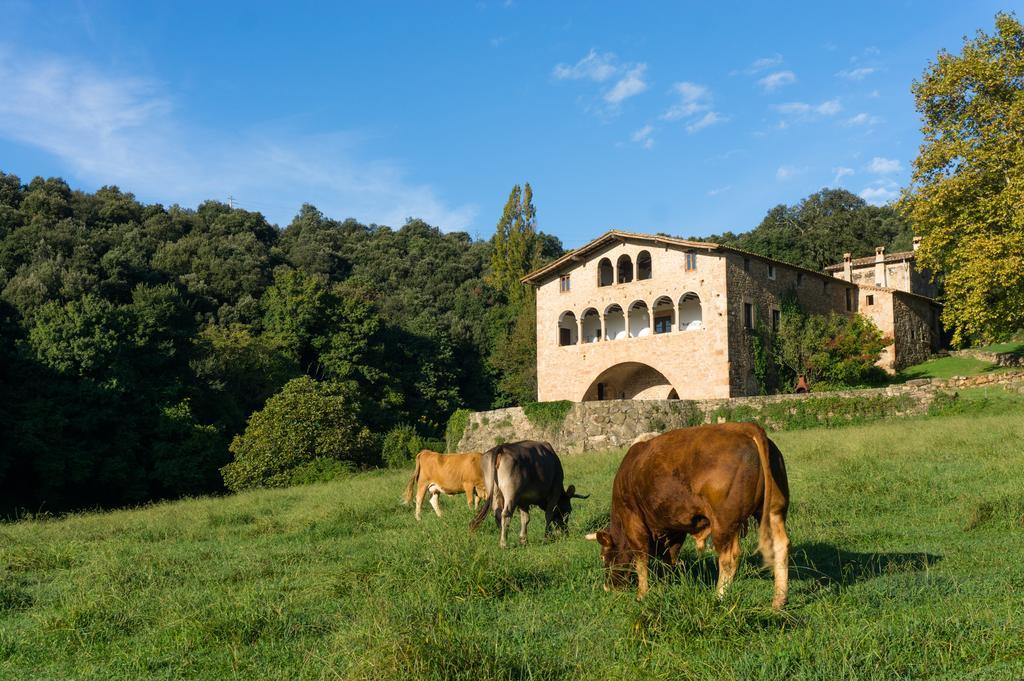 Casa Rural El Callís La Vall de Bianya Exterior foto